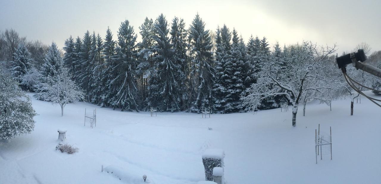 Gite Et Chambre D'Hotes La Petite Source Dabo Exteriör bild